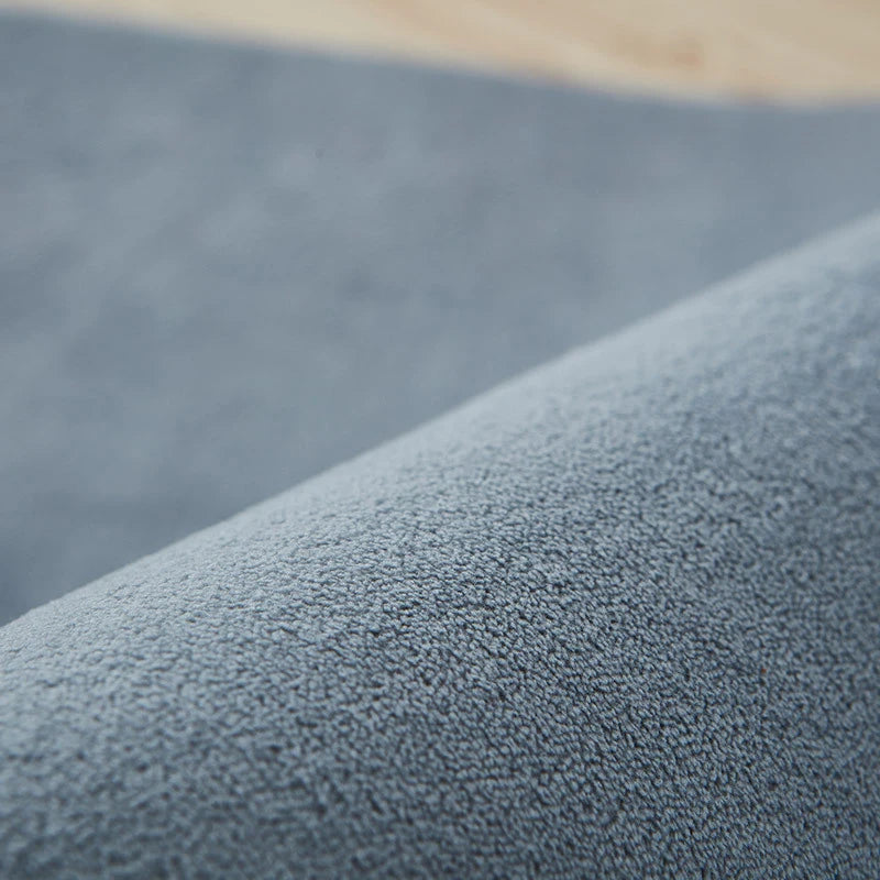 VIKAMA Solid Color Coral Velvet Rug Comfortable Soft Living Room Bedroom Rug Children's Play Mat Rectangular Home Decor