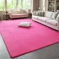 VIKAMA Solid Color Coral Velvet Rug Comfortable Soft Living Room Bedroom Rug Children's Play Mat Rectangular Home Decor